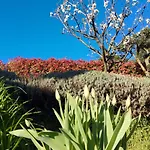 Al Vecchio Lavatoio - Relax In Collina 3*