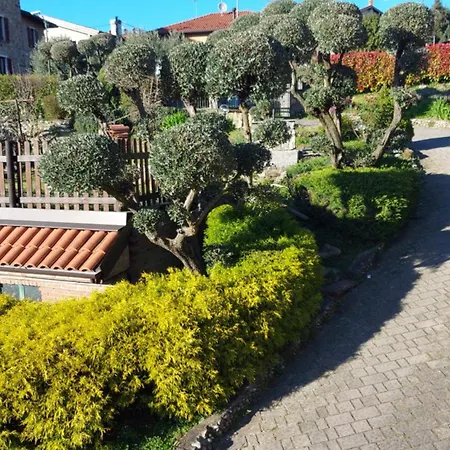 Al Vecchio Lavatoio - Relax In Collina ゲストハウス