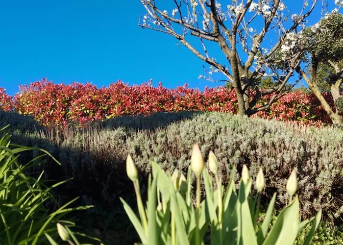 Al Vecchio Lavatoio - Relax In Collina 3*