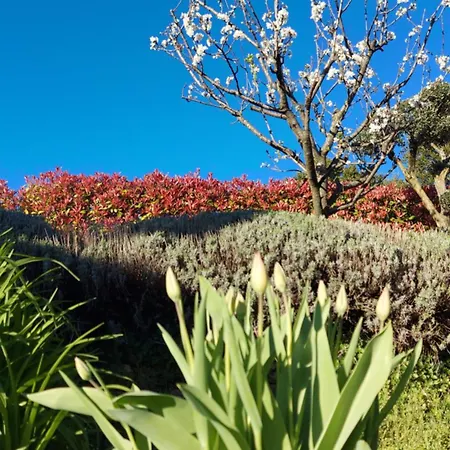 Al Vecchio Lavatoio - Relax In Collina 3*